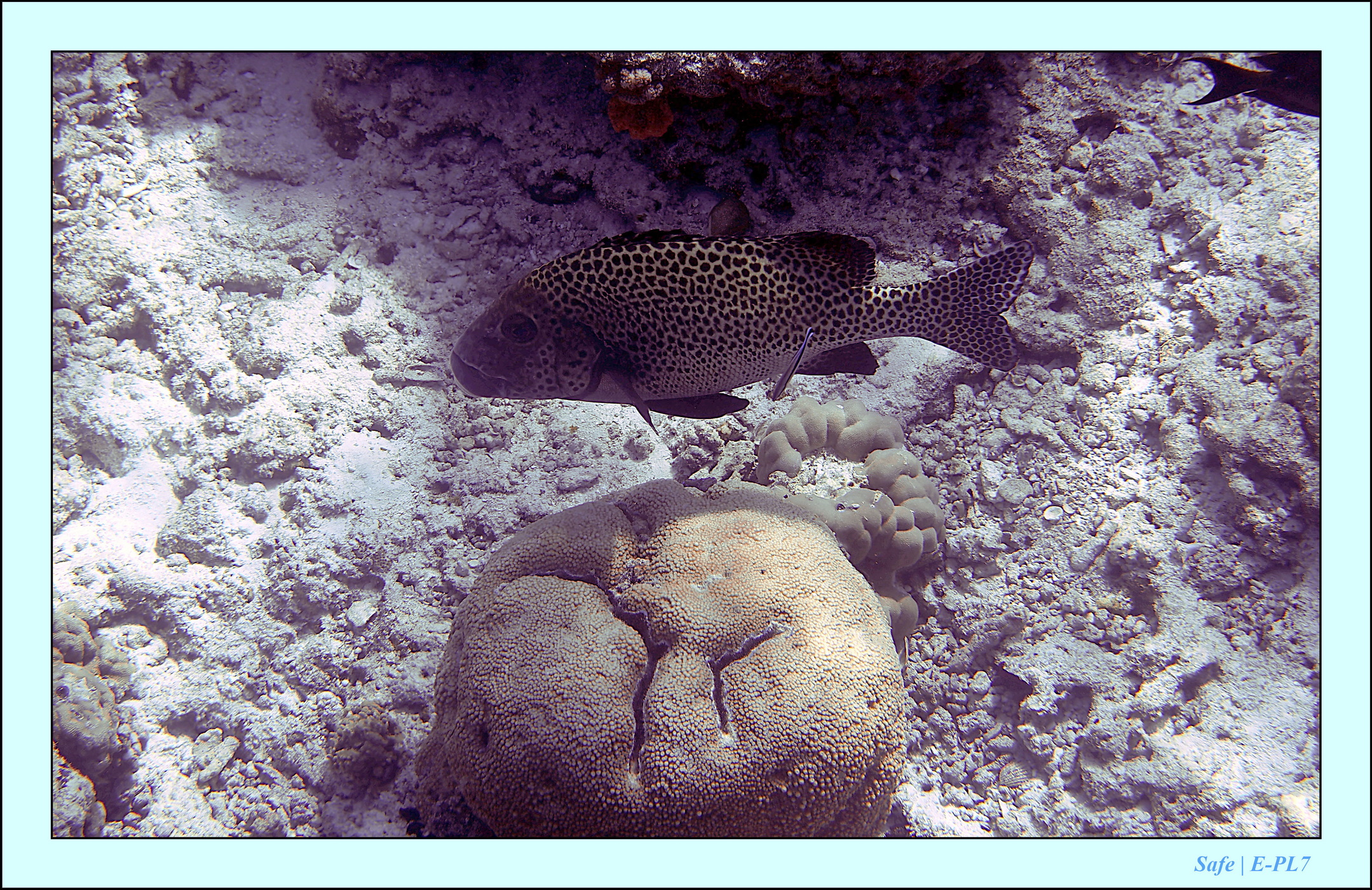 2023 - 07 - Sandies Bathala - 166